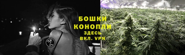 МДПВ Касимов