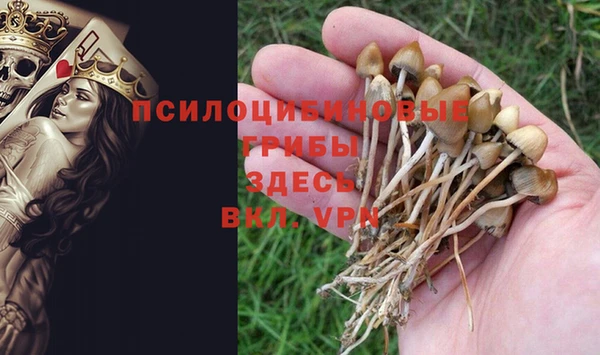 spice Карпинск